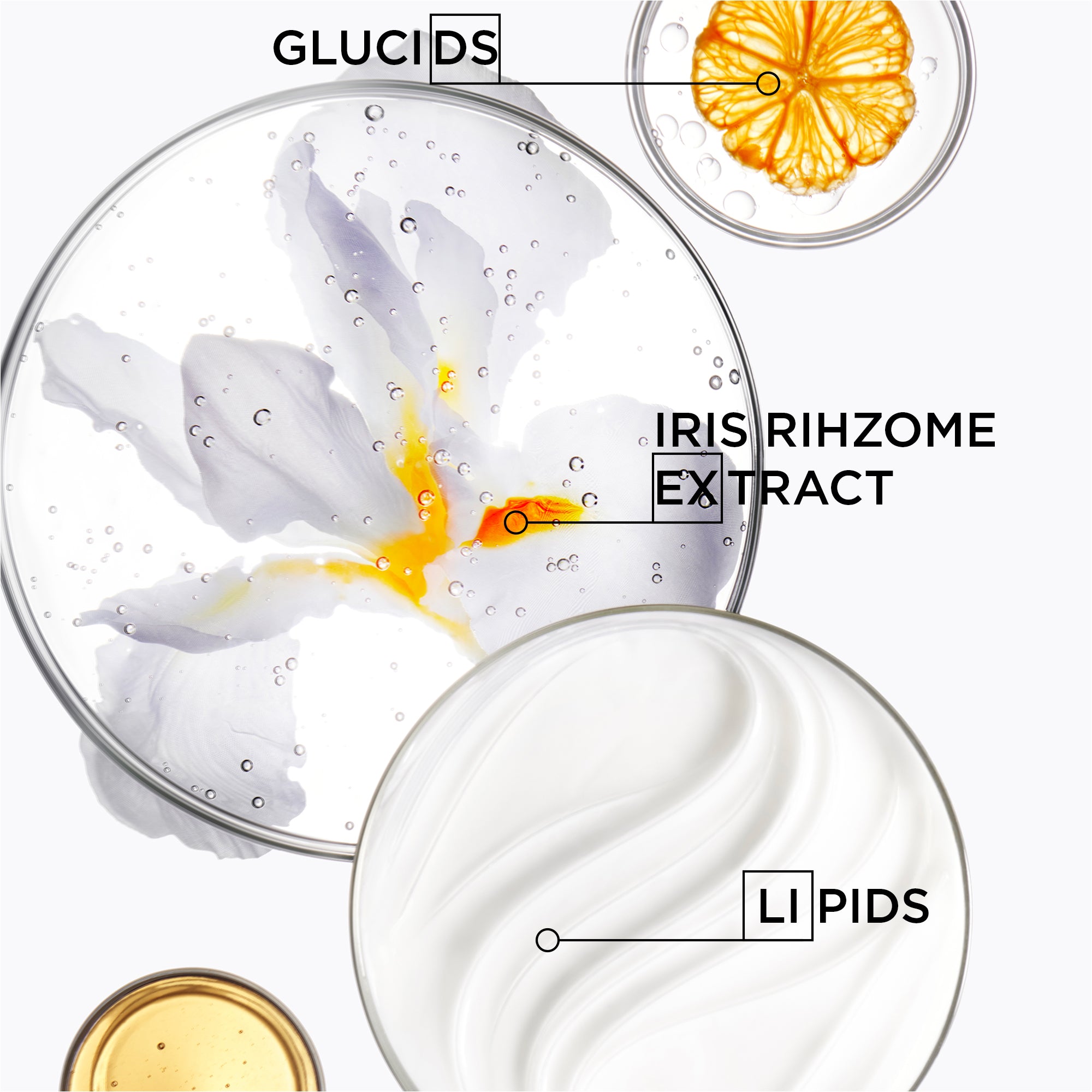 Nutritive Nectar Thermique 150ml